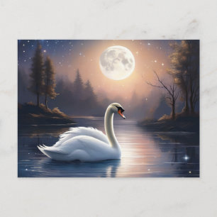 Moonlit Swan Postcard