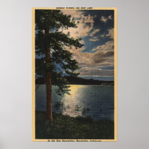 Moonlit View of the Lake Poster