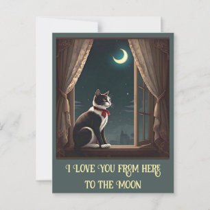 " MOONLIT WHISKERS " POSTCARD