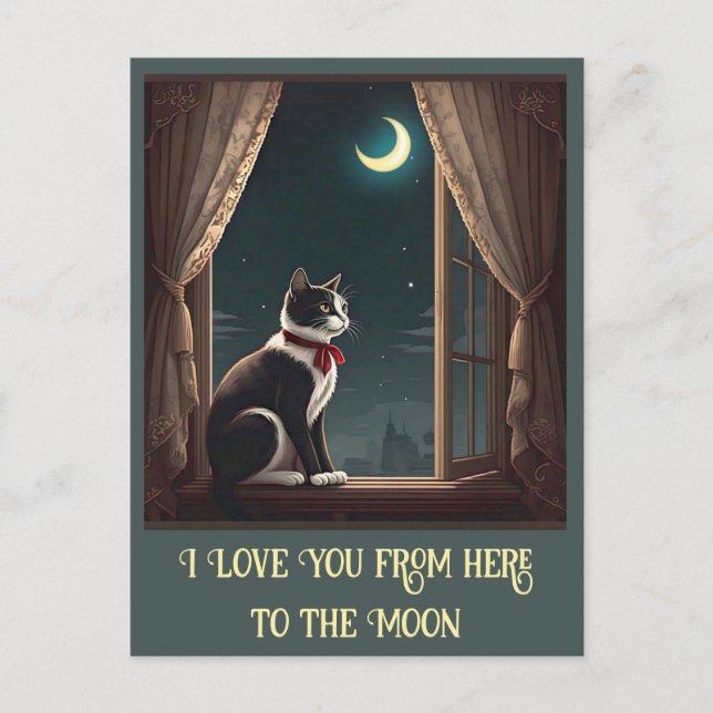 " MOONLIT WHISKERS " POSTCARD (Front)
