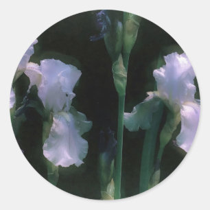Moonlit White Irises in Bloom Classic Round Sticker