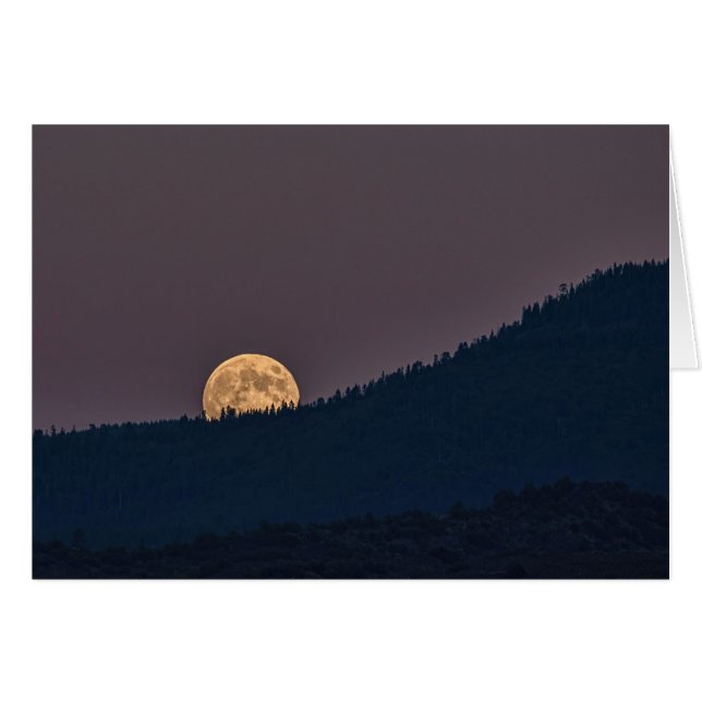 MOONRISE (Front Horizontal)