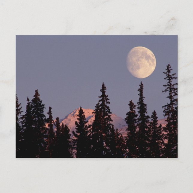 Moonrise Early Winter | Anchorage, Alaska Postcard (Front)