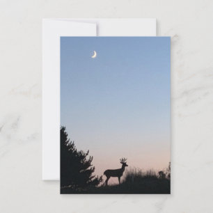 Moonrise Magic Blank Greeting Cards