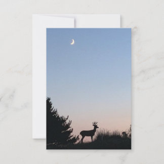 Moonrise Magic Blank Greeting Cards