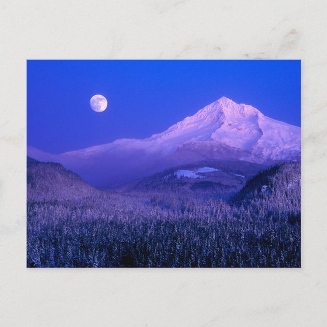 Moonrise Over Mt. Hood Oregon in Winter Postcard (Front)