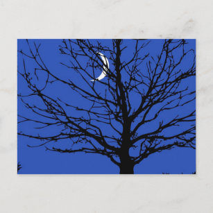 Moonscape in Cobalt Blue and Black Postcard