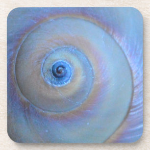 Moonsnail Closeup4 Coaster