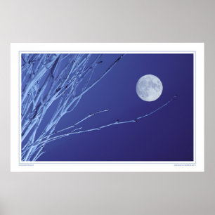 Moonstruck Poster