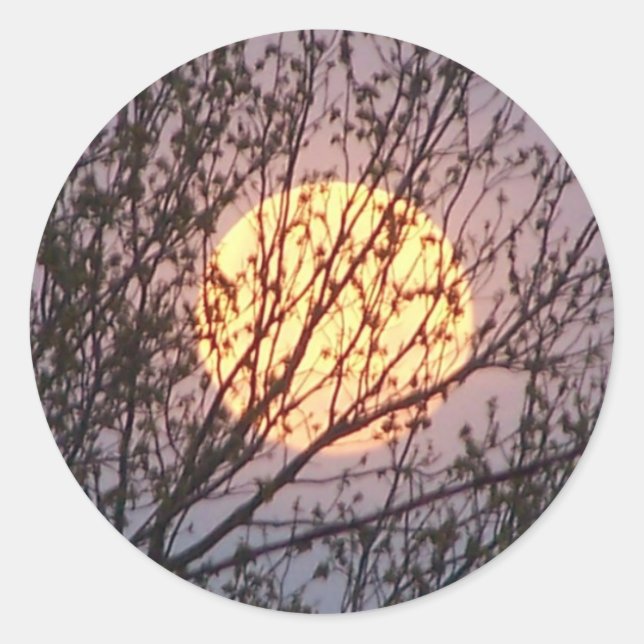 moontree classic round sticker (Front)