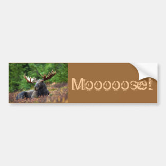 Moooose! Bumper Sticker