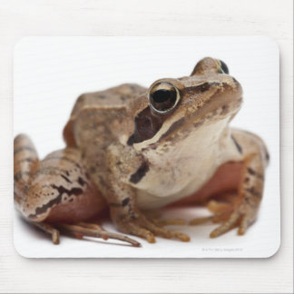 Moor Frog - Rana arvalis Mouse Pad