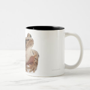 Moor Frog - Rana arvalis Two-Tone Coffee Mug