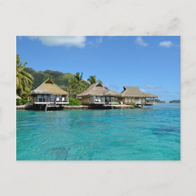 Moorea bungalows postcard (Front)
