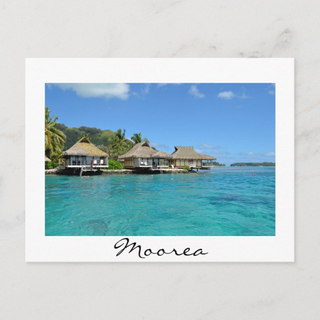 Moorea bungalows white postcard (Front)