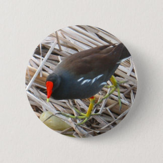Moorhen 2 Inch Round Button
