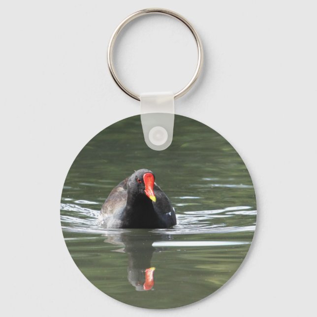 Moorhen and Reflection Keychain (Front)
