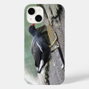 Moorhen Case-Mate iPhone 14 Case