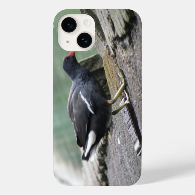 Moorhen Case-Mate iPhone Case (Back)