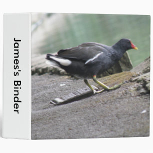 Moorhen Custom Binder