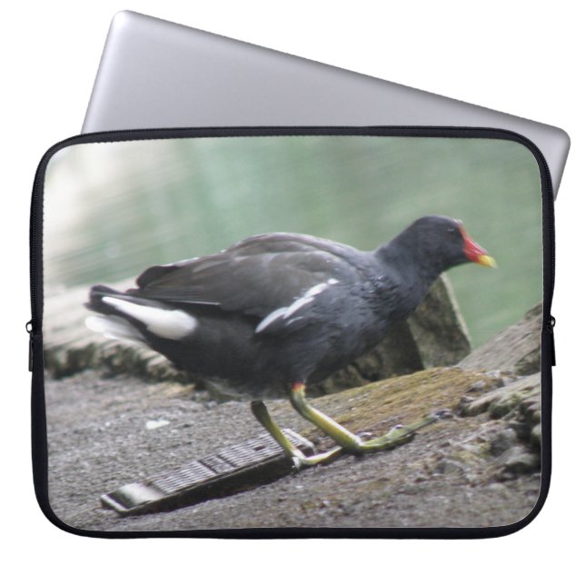 Moorhen Laptop Bag (Front)