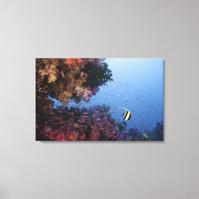 Moorish Idol Canvas Print (Front)