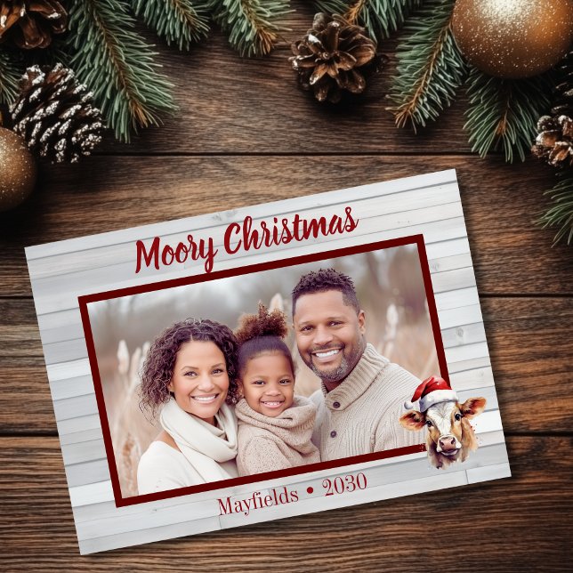 Moory Christmas Cow Photo Holiday Card (Moory Christmas flat photo card with jersey cow and barn wood)