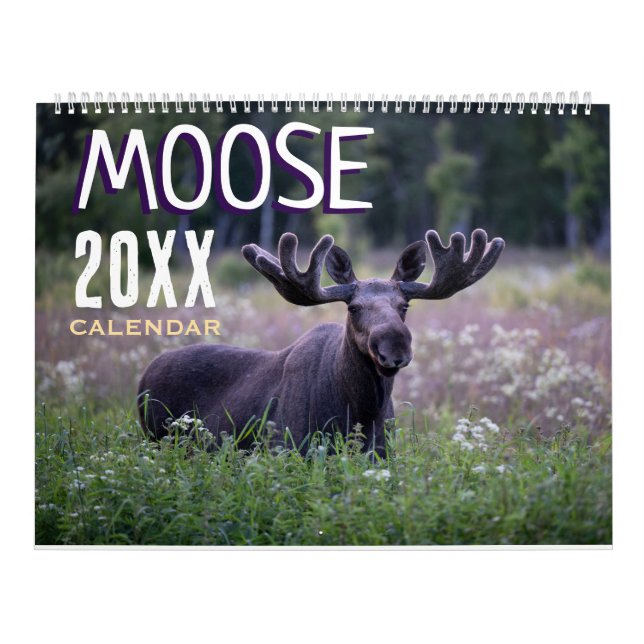 Moose 2027 Wildlife Animals Wall Calendar (Cover)