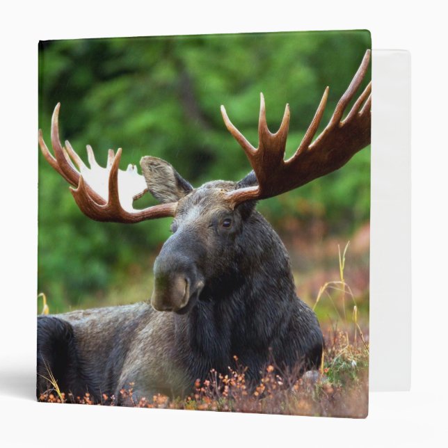 Moose 3 Ring Binder (Front/Inside)