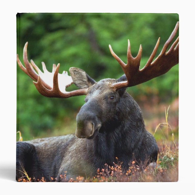 Moose 3 Ring Binder (Front)