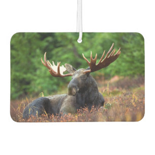 Moose Air Freshener