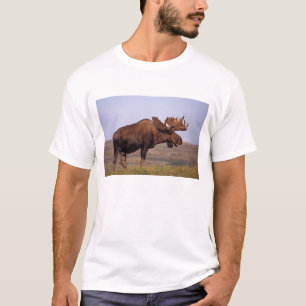 moose, Alces alces, bull with large antlers T-Shirt
