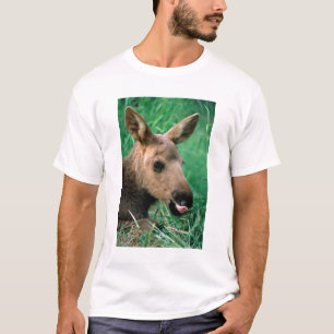 moose, Alces alces, calf lying in grass, Kenai T-Shirt