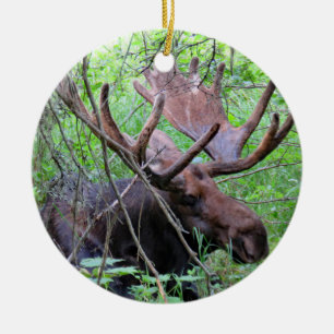 Moose and Loon Ceramic Ornament
