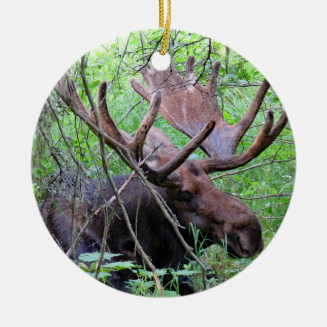 Moose and Loon Ceramic Ornament (Front)