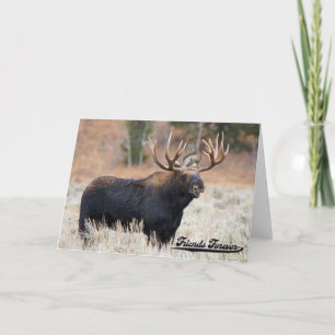 Moose and Squirrel "Friends Forever" Greeting Card