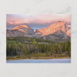 Moose And Tourists At Sprague Lake, Colorado Postcard