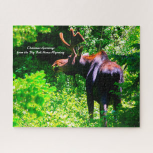 Moose at Grand Tetons. Christmas Greetings Jigsaw  Puzzle