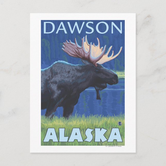 Moose at Night - Dawson, Alaska Postcard (Front)