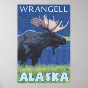 Moose at Night - Wrangell, Alaska Poster