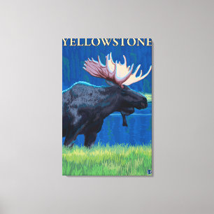 Moose at Night - Yellowstone National Park Canvas Print