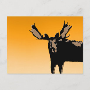 Moose at Sunset  - Original Wildlife Art Postcard