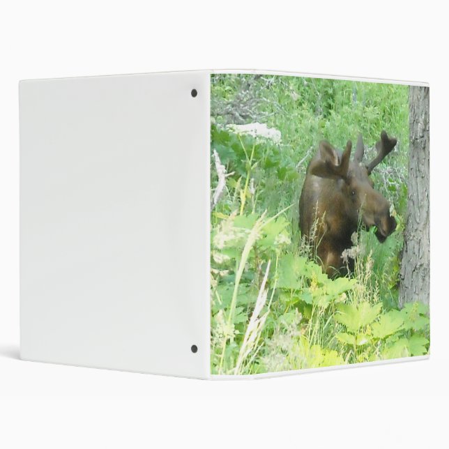 Moose Binder (Background)