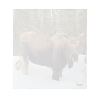 Moose - Bloc-notes de 5,5 po x 6 po