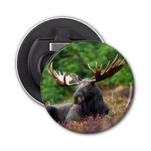 Moose Bottle Opener