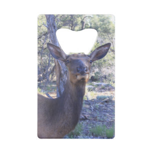 Moose Bottle Opener Credit Card Bottle Opener