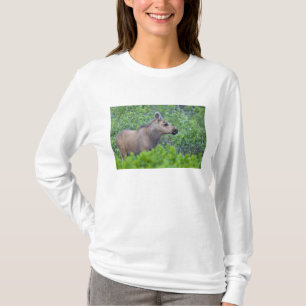 Moose calf in the Many Glacier Valley T-Shirt