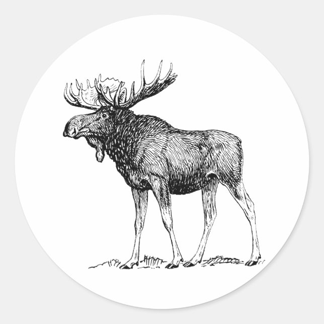Moose Classic Round Sticker (Front)