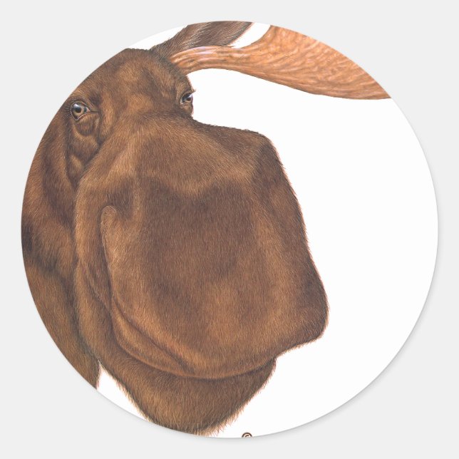 moose classic round sticker (Front)