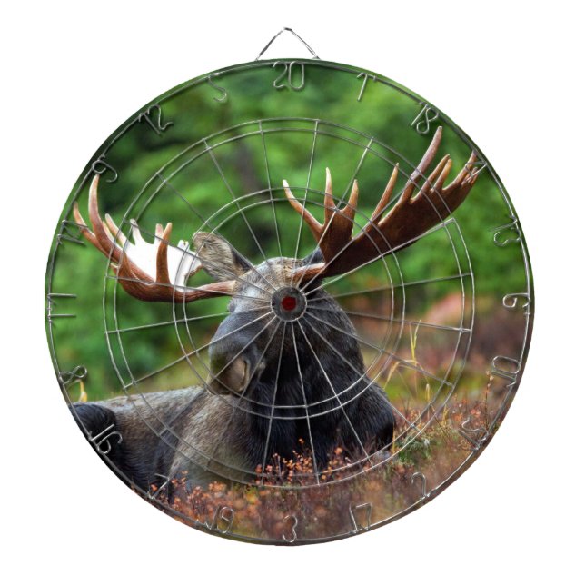 Moose Dartboard (Front)